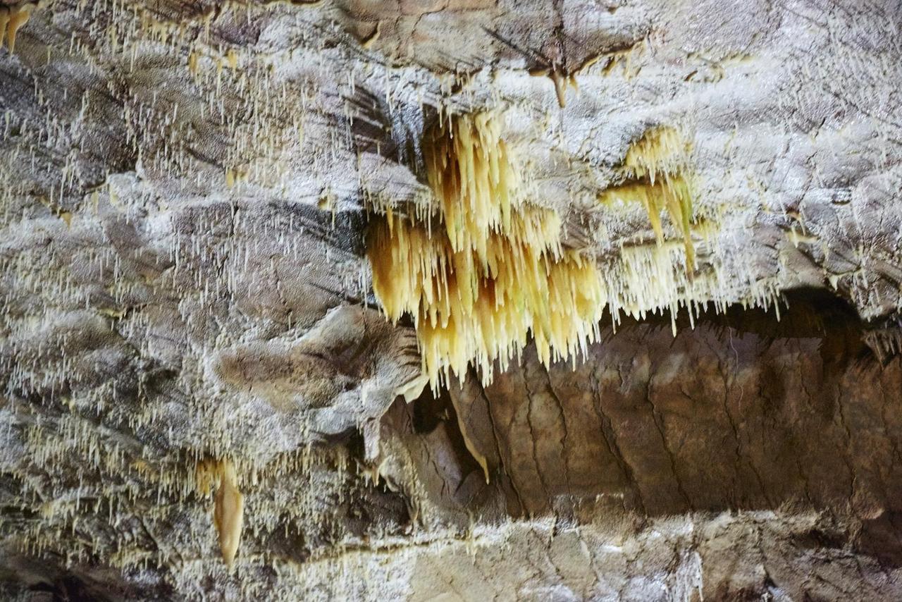 Ново-Афонская пещера 5
