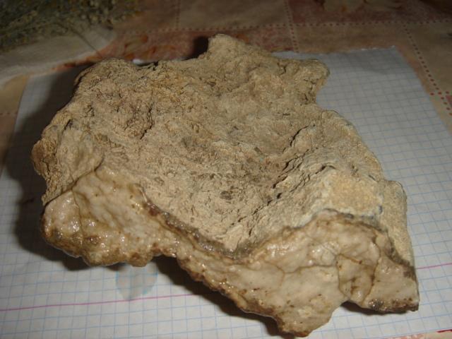 DSC03763.JPG