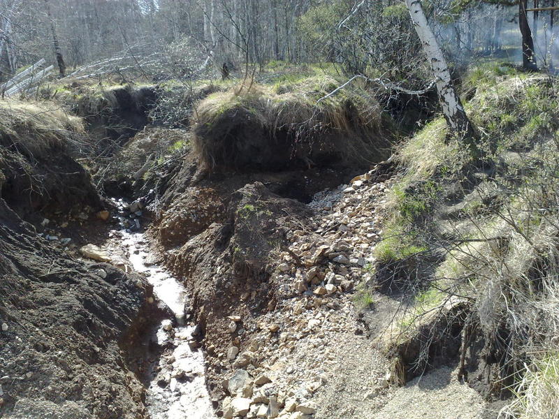 090520161199.jpg