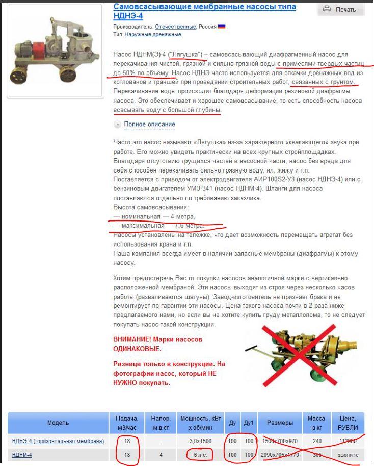 Лягушка.JPG