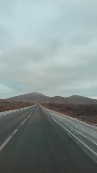 IMG_20161125_160052.jpg