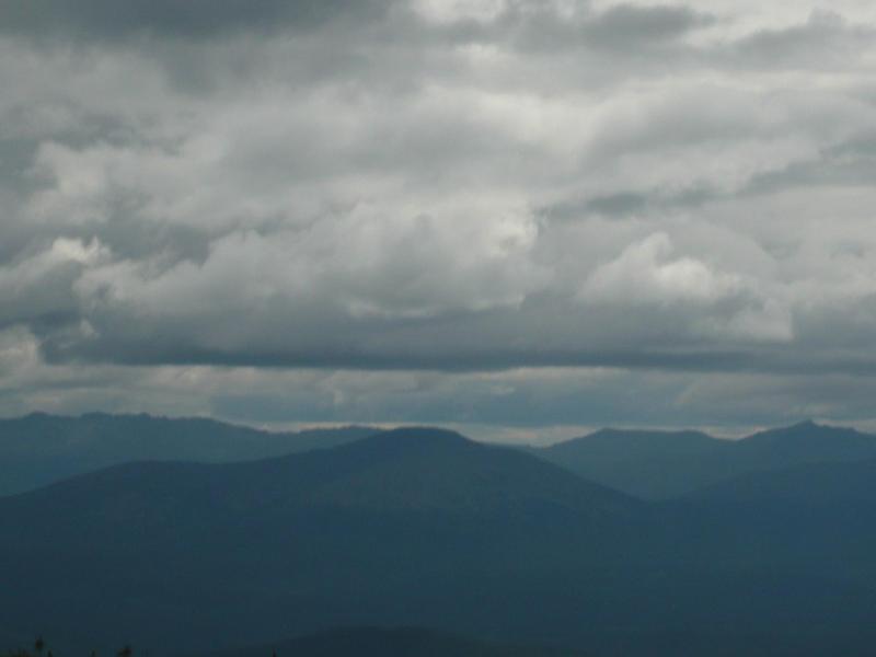 P1020571.JPG