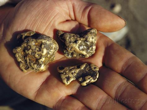 george-f-mobley-gold-nuggets-mined-in-alaska.jpg