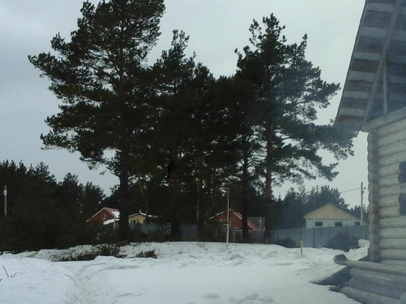 20170305_144948.jpg