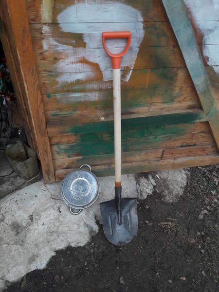 20170308_163618[1].jpg