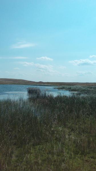 IMG_20170806_114024.jpg