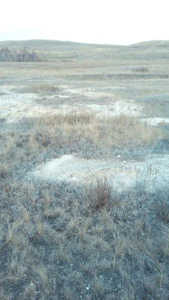 IMG_20171126_121149.jpg