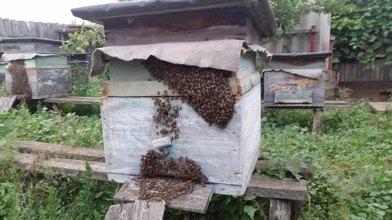 20190726_194655.jpg