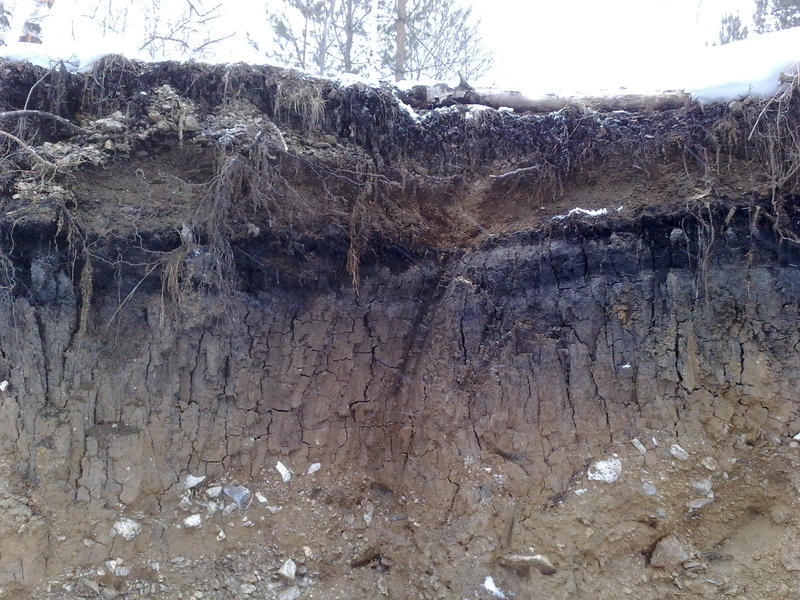 06032019216.jpg