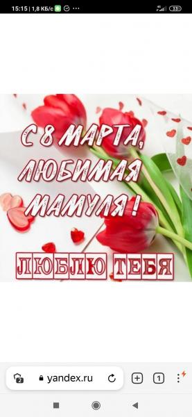 Screenshot_2025-03-06-15-15-28-058_com.yandex.browser.jpg